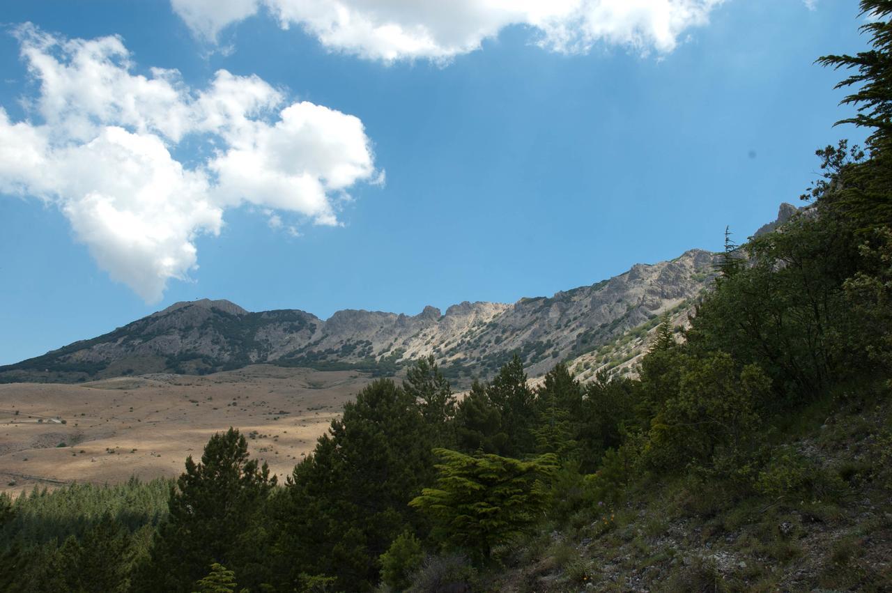 La Ferula Bed & Breakfast Scillato  Dış mekan fotoğraf